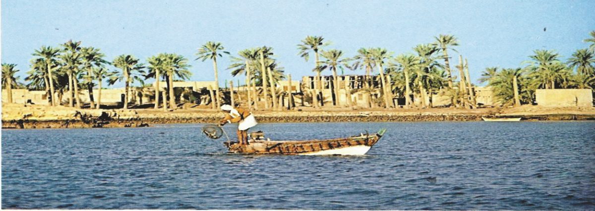 عبـــــــدالله خلــــــــيفة كاتب وروائي  | 𝓐𝖇𝖉𝖚𝖑𝖑𝖆 𝓚𝖍𝖆𝖑𝖎𝖋𝖆 𝓦𝖗𝖎𝖙𝖊𝖗 𝒶𝓃𝒹 𝓝𝖔𝖛𝖊𝖑𝖎𝖘𝖙